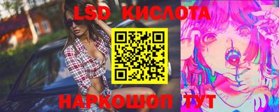 PSILOCYBIN Камышлов