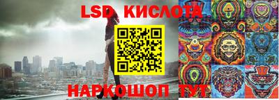 PSILOCYBIN Камышлов