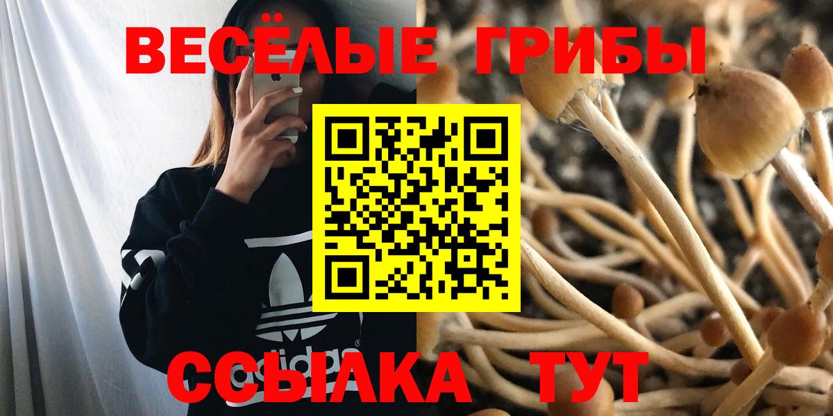 Псилоцибиновые грибы мицелий  Вход с VPN  Красноуфимск 